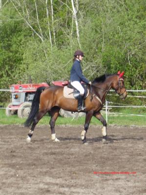 Photo de profil de malabarzoo