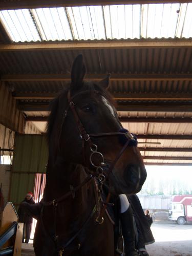 Photo de profil de malvi-59