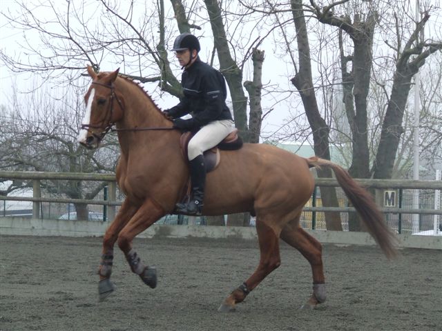 Photo de profil de marc.perego