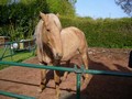 Photo de profil de mauranedu76242