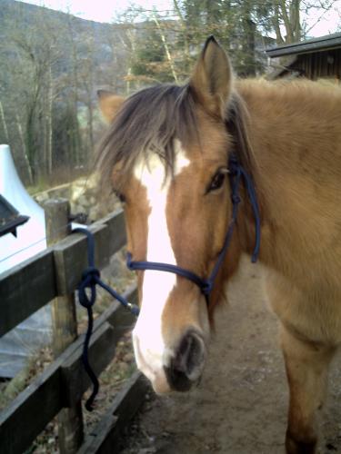 Photo de profil de mimoune