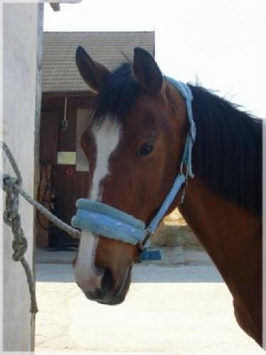 Photo de profil de missdididu91