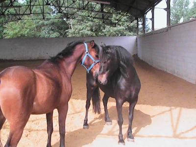 Photo de profil de missninja