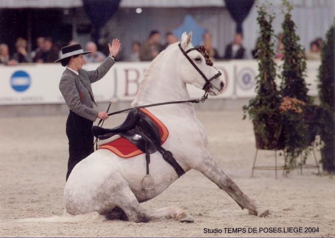 Photo de profil de nadinemitschke