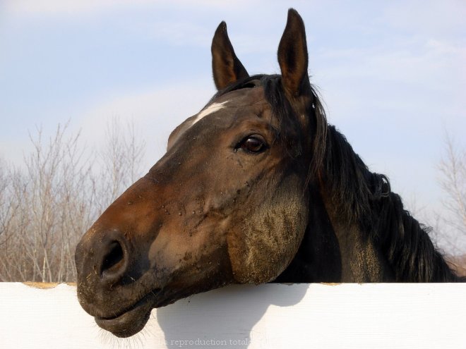 Photo de profil de okitania-84