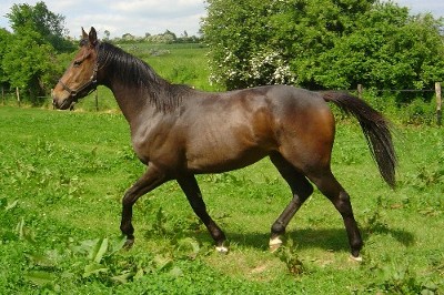 Photo de profil de patzoutrombine