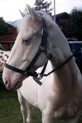 Photo de profil de petitfancy