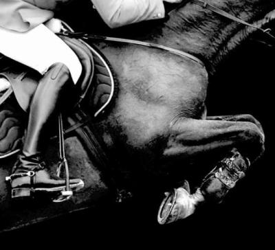 Photo de profil de pikolo-dream