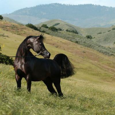 Photo de profil de safinadu66