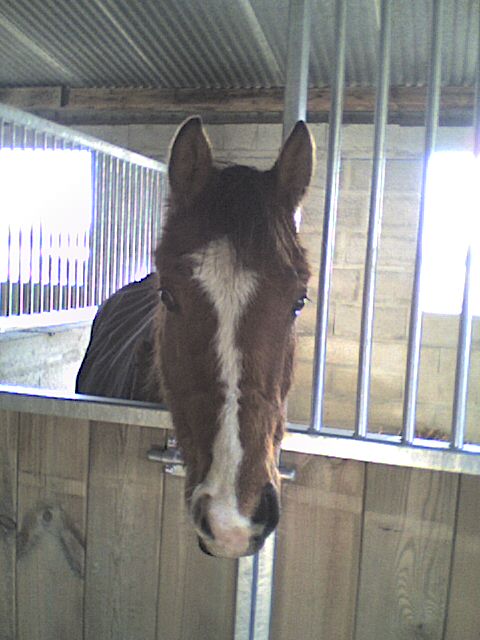 Photo de profil de samy2