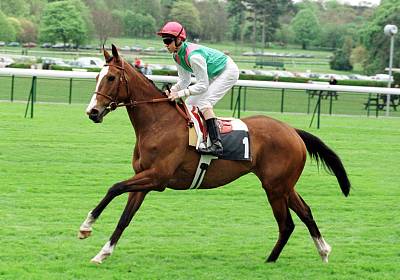 Photo de profil de sarah.f