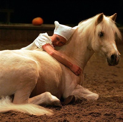 Photo de profil de soleil-pasoha