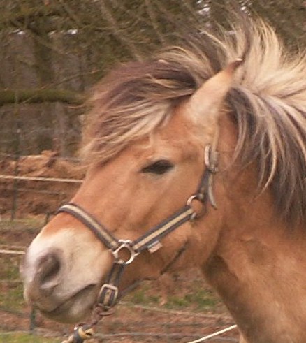 Photo de profil de soso76