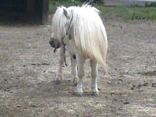 Photo de profil de volga1