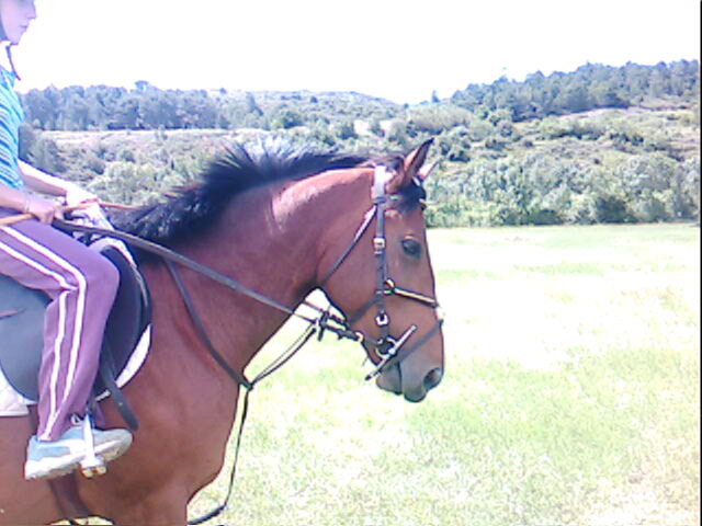 Photo de profil de -crinblanc-