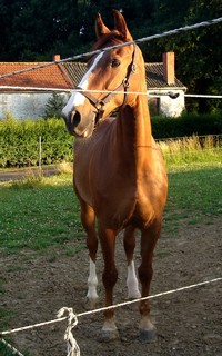 Photo de profil de beli-jalisco