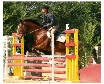 Photo de profil de bob-pauline