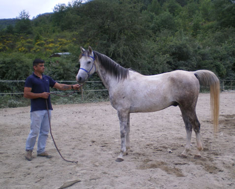 Photo de profil de brezilhou