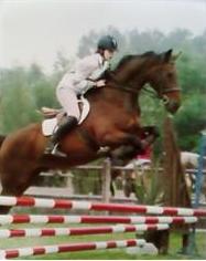 Photo de profil de camsjumping