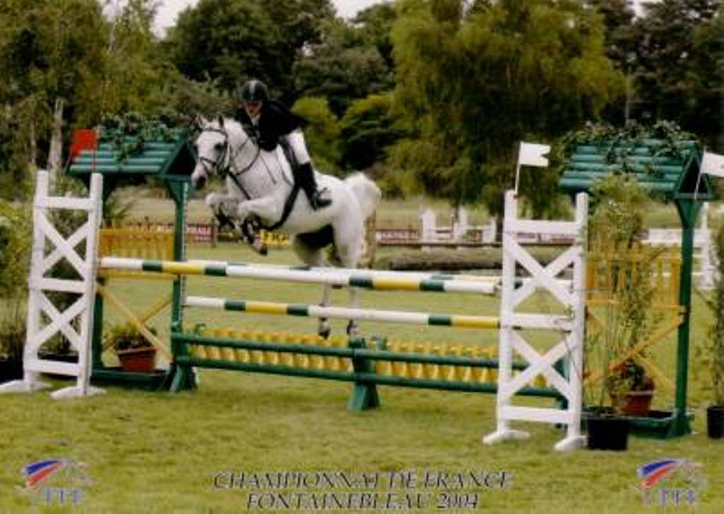 Photo de profil de cavaliere02