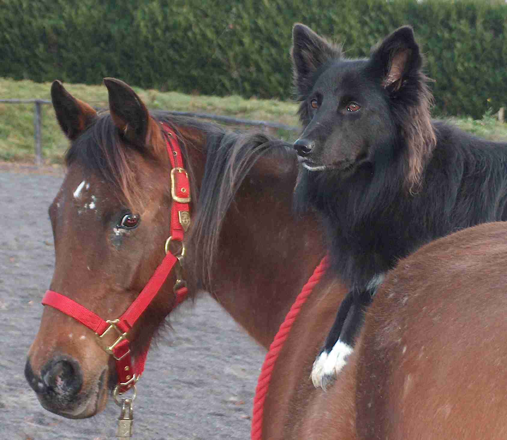 Photo de profil de cherokee13