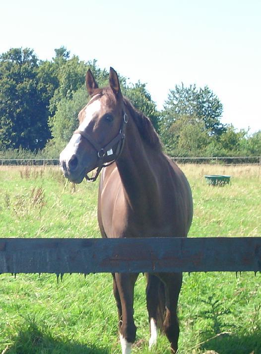 Photo de profil de christina