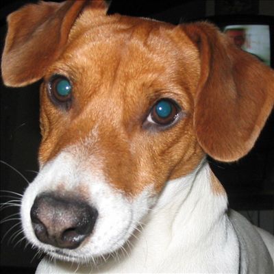 Photo de profil de didou127