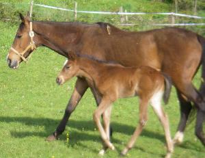 Photo de profil de domainedeperre
