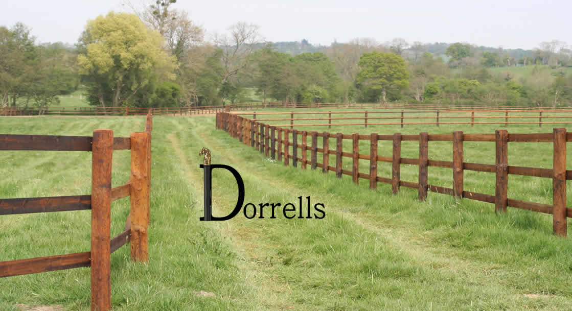 Photo de profil de dorrells