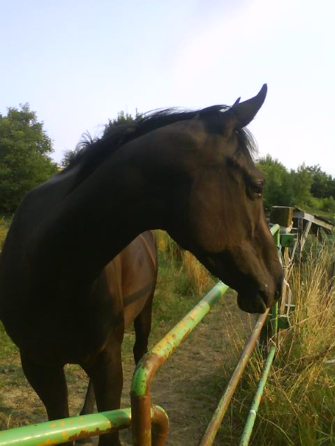 Photo de profil de dreamyyy