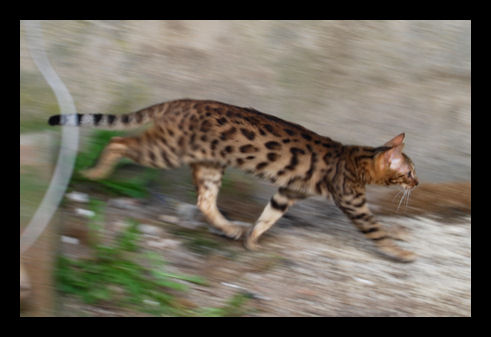 Photo de profil de eldie