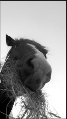 Photo de profil de elodie.p