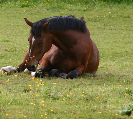 Photo de profil de emerson