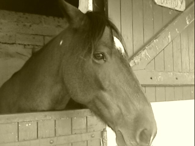 Photo de profil de emma33