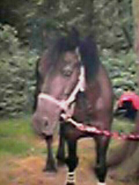 Photo de profil de evi