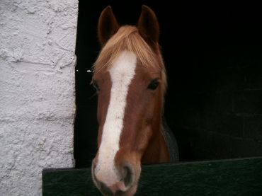 Photo de profil de fast