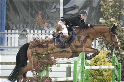 Photo de profil de gipsoops