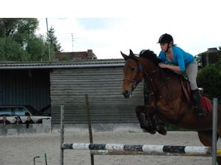 Photo de profil de jav