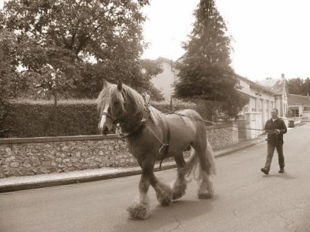 Photo de profil de kopa15