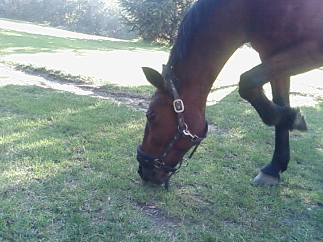 Photo de profil de lilidu26780