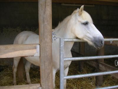 Photo de profil de loveeudipe