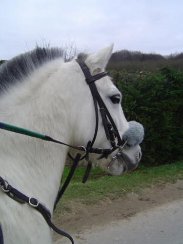 Photo de profil de mariiie-x3