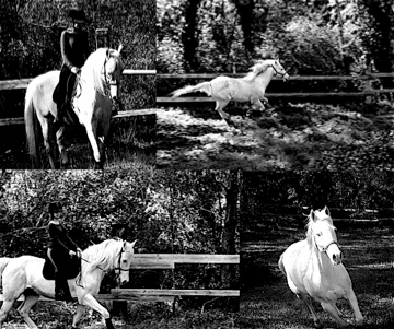 Photo de profil de marilou-j