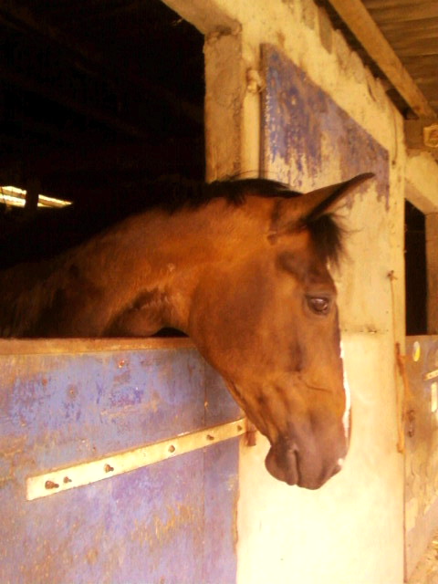 Photo de profil de mililo