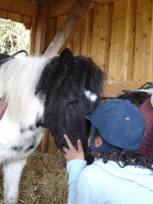 Photo de profil de momo94550