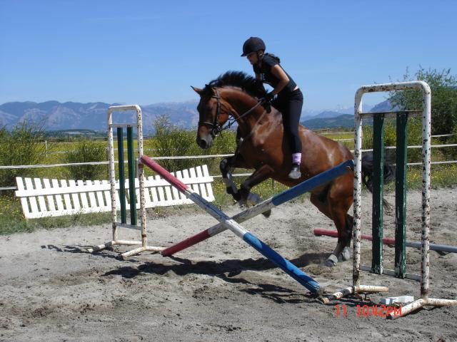 Photo de profil de mystouille1