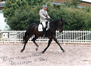 Photo de profil de nathenri