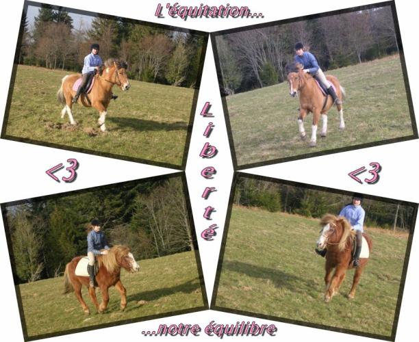 Photo de profil de ornelladu88