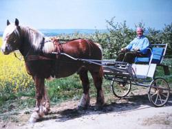 Photo de profil de oscar18