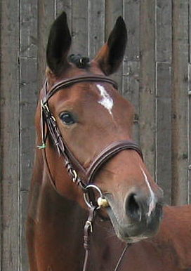 Photo de profil de pat21
